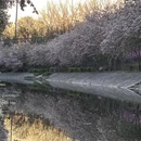 北京旅游 缩略图 3