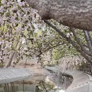 北京旅游 缩略图 6