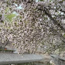 北京旅游 缩略图 5