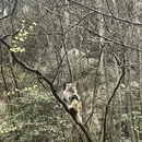 福州旅游 缩略图 10