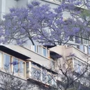 昆明旅游 缩略图 1