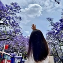 凉山旅游 缩略图 2