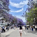 凉山旅游 缩略图 3
