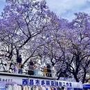 凉山旅游 缩略图 5