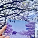 凉山旅游 缩略图 8
