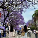 凉山旅游 缩略图 10
