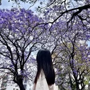 凉山旅游 缩略图 7