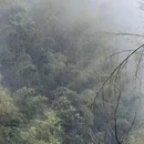 萍乡旅游 缩略图 7