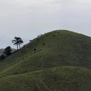 萍乡旅游 缩略图 6