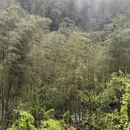 萍乡旅游 缩略图 8