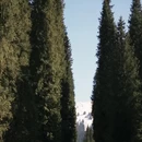 伊犁旅游 缩略图 7