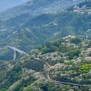宁波旅游 缩略图 2