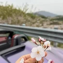 宁波旅游 缩略图 5