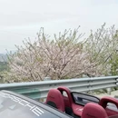 宁波旅游 缩略图 6