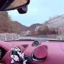 宁波旅游 缩略图 4