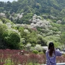 宁波旅游 缩略图 1