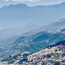 宁波旅游 缩略图 3