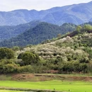 宁波旅游 缩略图 8