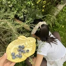 昆明旅游 缩略图 8