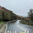 贵阳旅游 缩略图 6