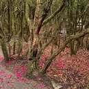 贵阳旅游 缩略图 8