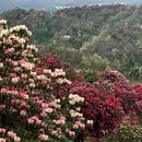 贵阳旅游 缩略图 11