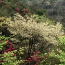 贵阳旅游 缩略图 10