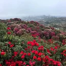 贵阳旅游 缩略图 7