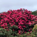 贵阳旅游 缩略图 13