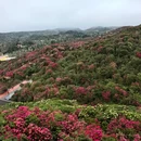 贵阳旅游 缩略图 14