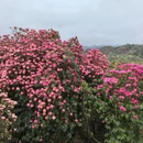 贵阳旅游 缩略图 16