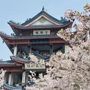 无锡旅游 缩略图 1