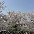 无锡旅游 缩略图 2