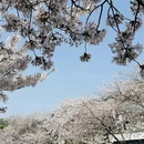 无锡旅游 缩略图 7