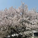 无锡旅游 缩略图 5
