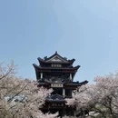 无锡旅游 缩略图 11