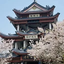 无锡旅游 缩略图 12
