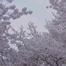北京旅游 缩略图 9