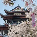 无锡旅游 缩略图 13