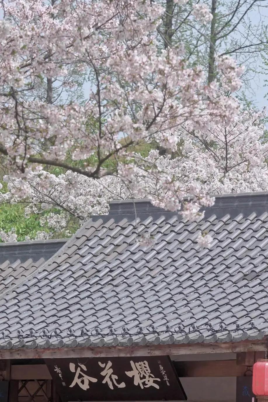 无锡旅游
