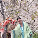 上海旅游 缩略图 6