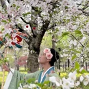 上海旅游 缩略图 15