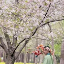 上海旅游 缩略图 19