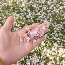 上海旅游 缩略图 2