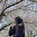 上海旅游 缩略图 8