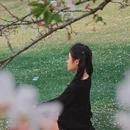 上海旅游 缩略图 7