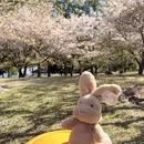 上海旅游 缩略图 1