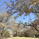 上海旅游 缩略图 4