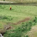 上饶旅游 缩略图 10