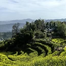 黄山旅游 缩略图 4